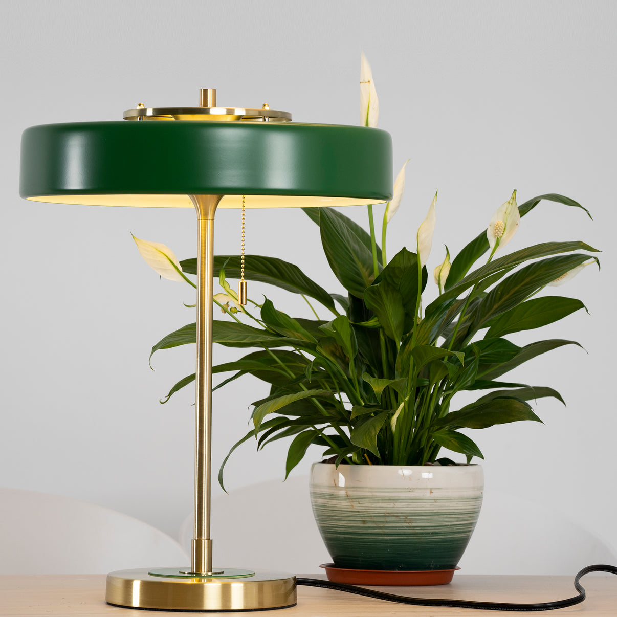 Table Lamp Metal 13.8 in x 18.9 in Acrylic Shade Indoor Desk Nightstand Light | Thomler
