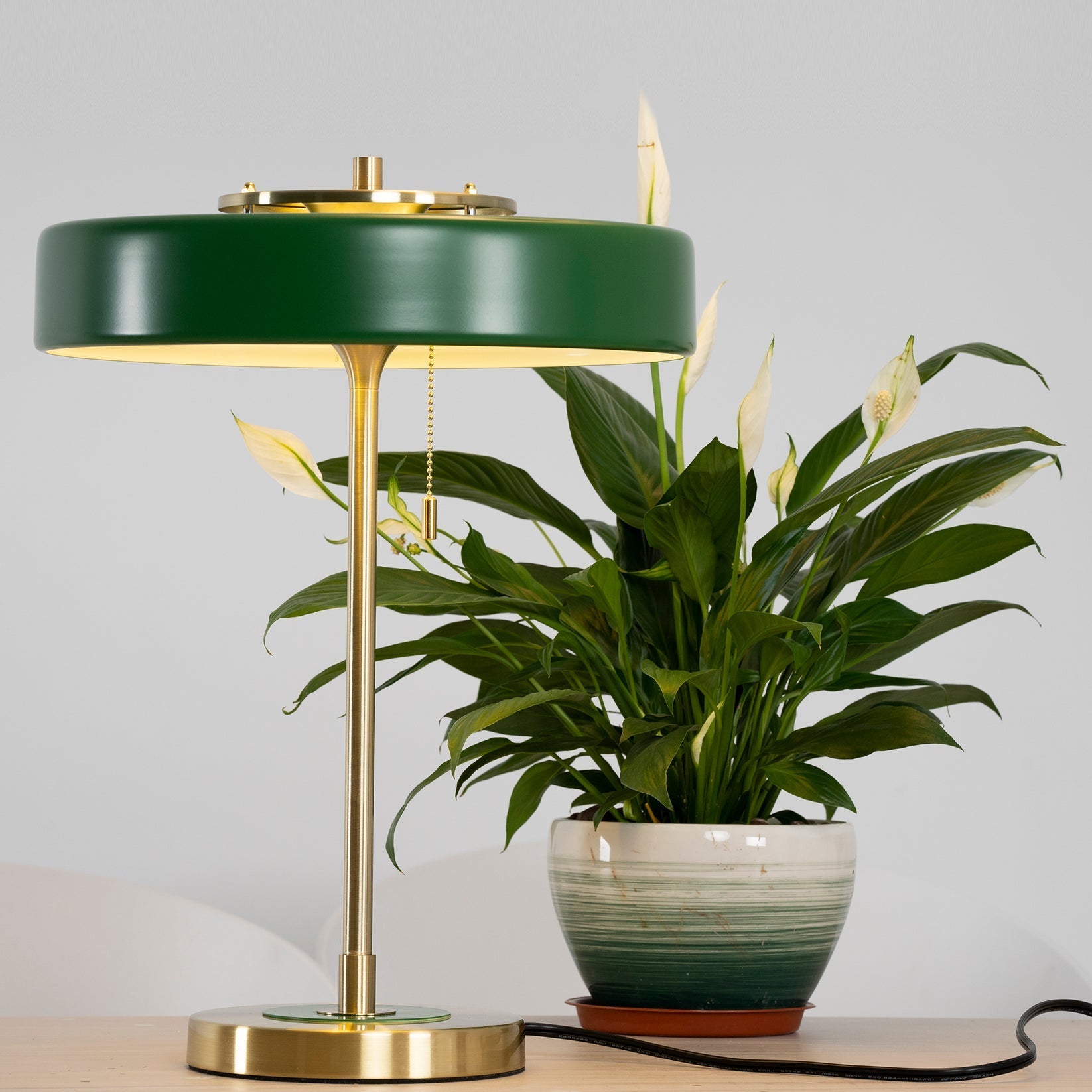 Table Lamp Metal 13.8 in x 18.9 in Acrylic Shade Indoor Desk Nightstand Light | Thomler