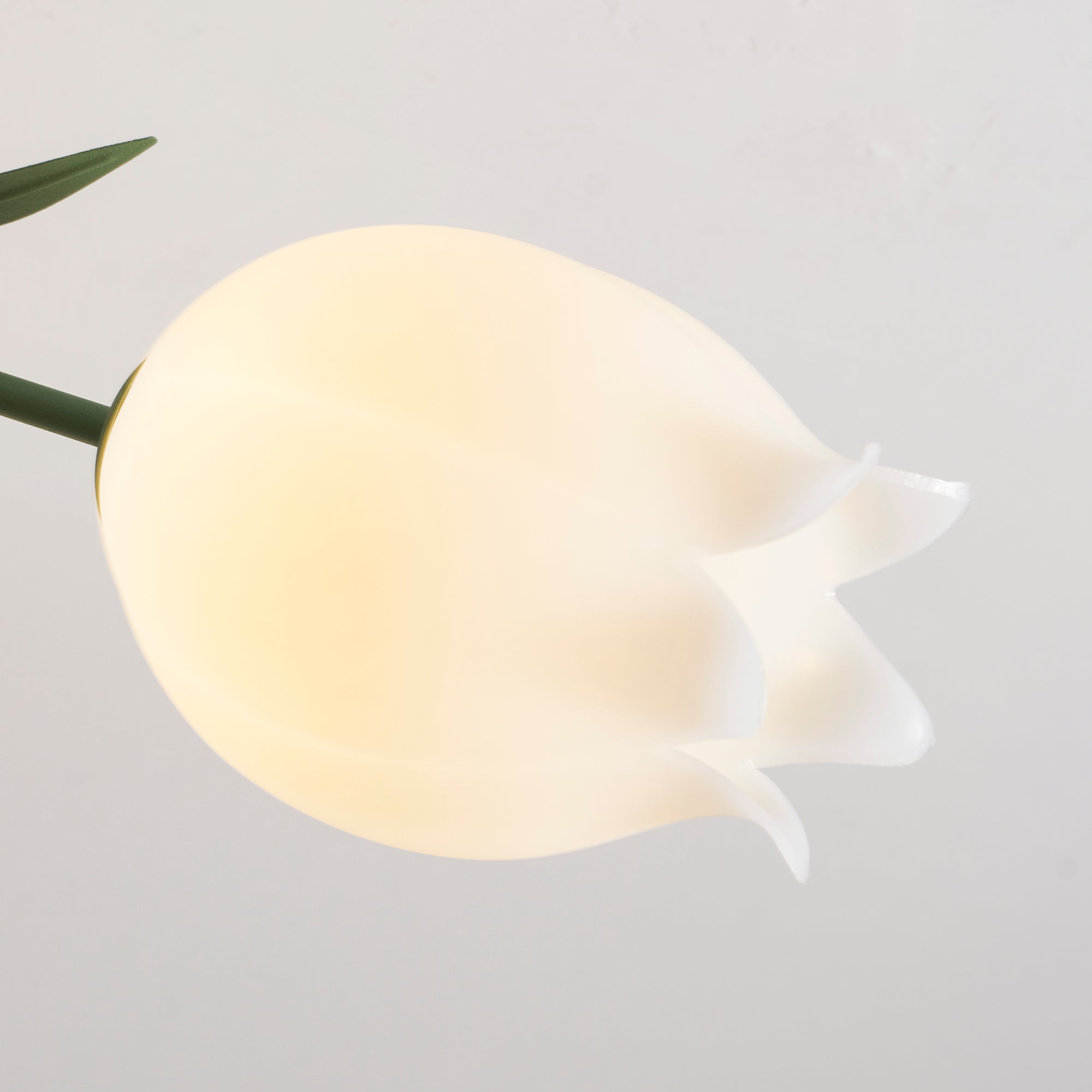 Ceiling Light Metal Acrylic 21.7 in Floral White Green Living Room Bedroom Bathroom Fixture Decorative | Thomler