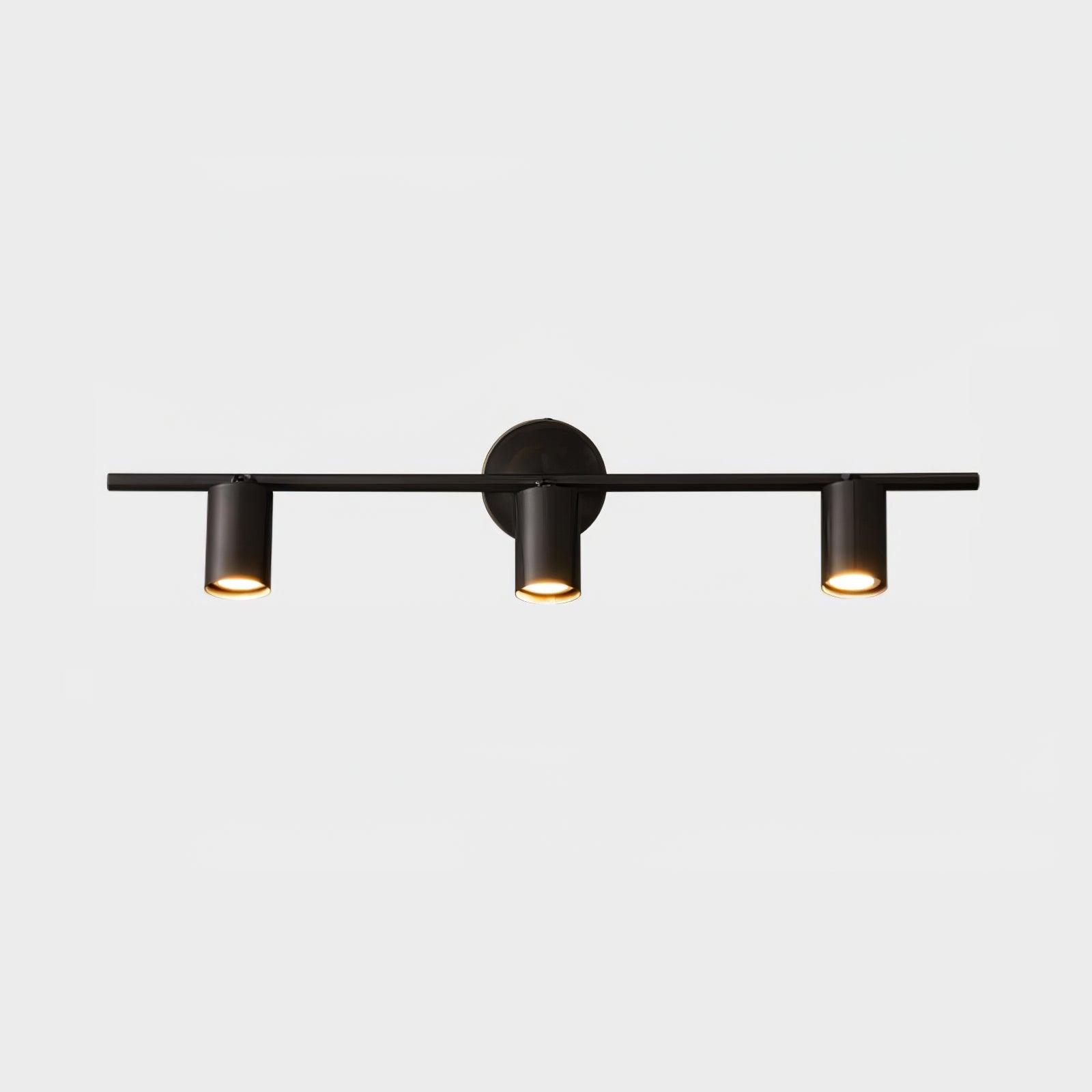 Brass Rotatable Spotlight Wall Light 3.1 in 350° Adjustable Indoor Accent Lighting Multi Head Ceiling Mount | Thomler
