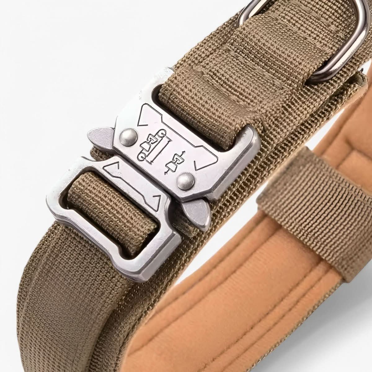 Padded Tactical Dog Collar with Handle – Adjustable Heavy-Duty Nylon for Training, Walks & Active Dogs | Thomler