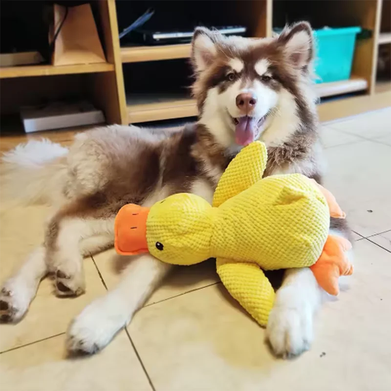 Squeaky Duck Chew Toy for Dogs – Soft Plush Interactive Pet Toy to Keep Your Pup Entertained | Thomler