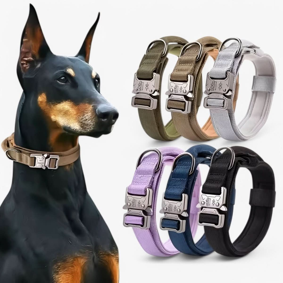 Padded Tactical Dog Collar with Handle – Adjustable Heavy-Duty Nylon for Training, Walks & Active Dogs | Thomler
