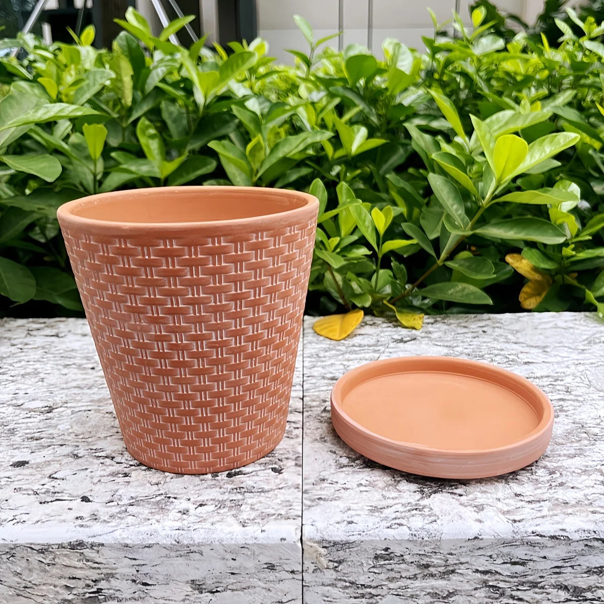 Textured Clay Planter Set with Saucers – 5 Inch Drainage Pots for Succulents, Herbs & Small Plants, Indoor Outdoor Use, 2-Pack | Thomler