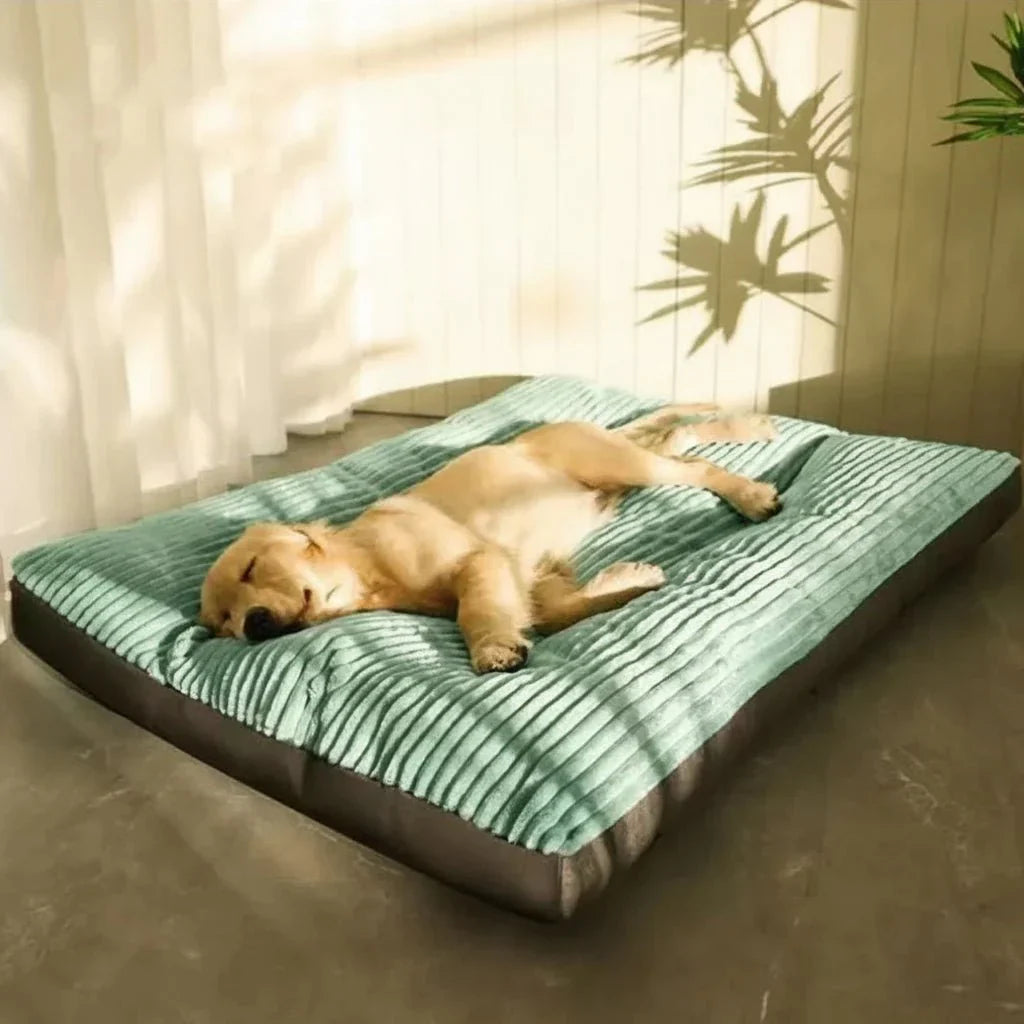 Dog Cushion Plush Orthopaedic Foam Soft Indoor Pet Bed Warm Sleeping Mat For Puppies Senior Dogs | Thomler