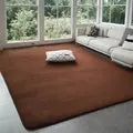 Plush Velvet Area Rug with Non-Slip Backing for Living Room, Bedroom & Kids Play | Thomler