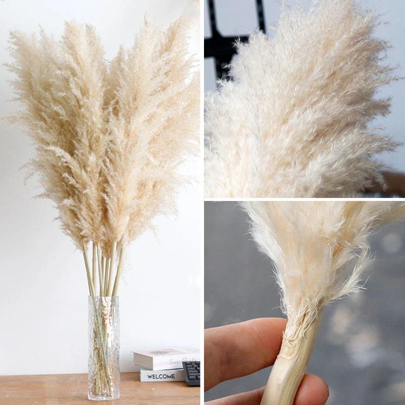 Decorative Dried Grass Plumes 15.7–29.5 in Natural Home Wedding Vase Arrangement | Thomler