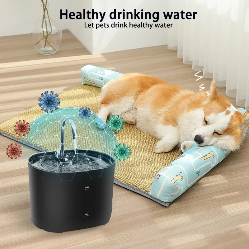 Stainless Steel Spout Pet Drinking Fountain with Filtration System for Cats and Dogs | Thomler