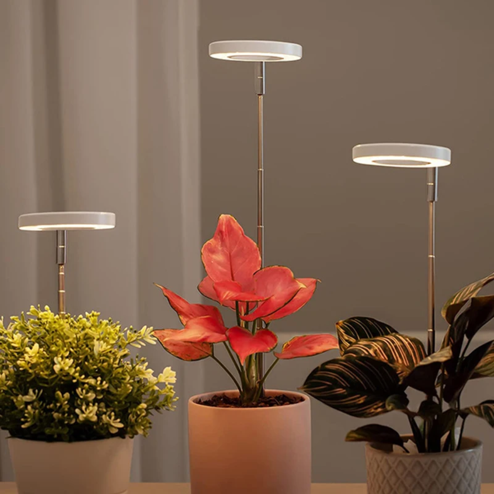 Adjustable Full-Spectrum Indoor Plant Grow Light with USB Power Stand | Thomler