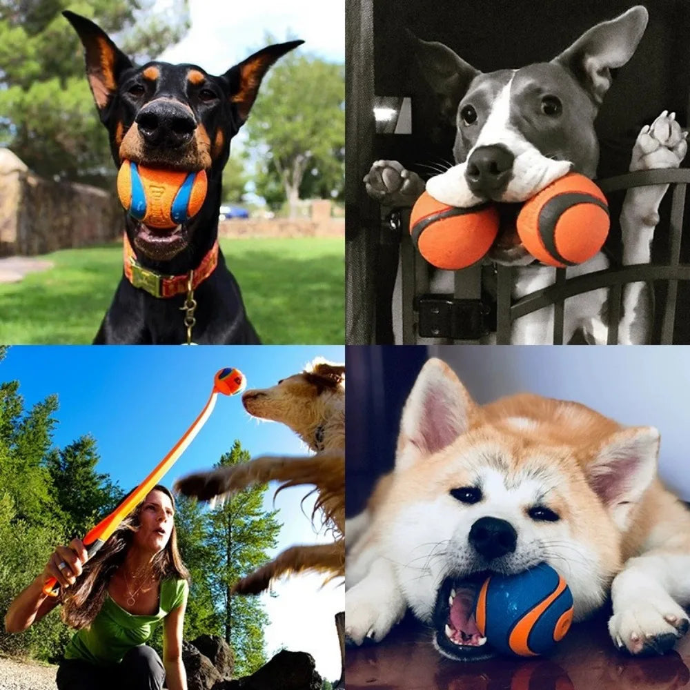 Rubber Bounce Ball Dog Toy for Fetch & Chew – Durable Interactive Play Sphere for Puppies & Adult Dogs, All Sizes – Outdoor Toss & | Thomler