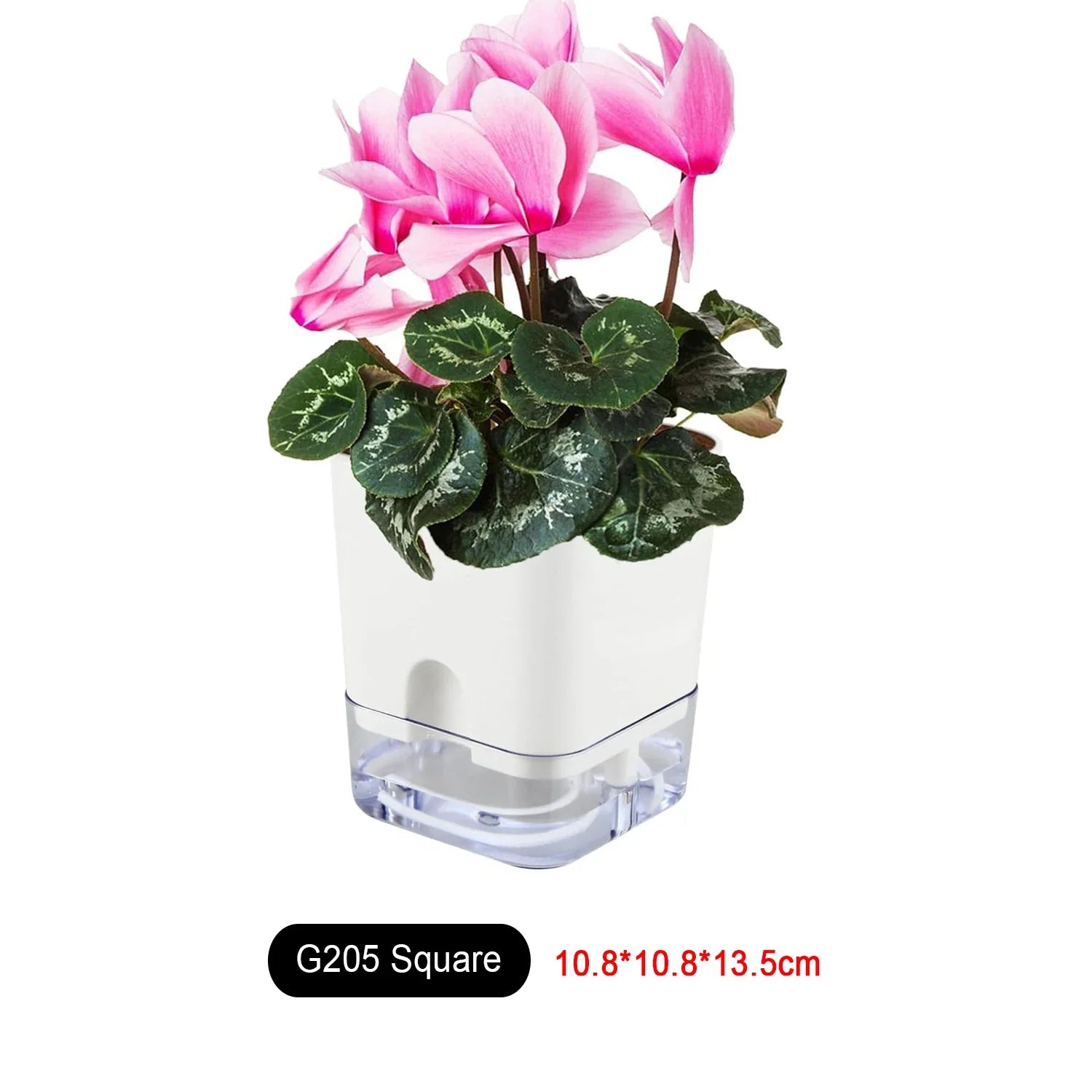 Flower Pot Self Watering PP AS Plastic 25.0 cm White Indoor Herb Planter Hydroponic Windowsill Office Container | Thomler