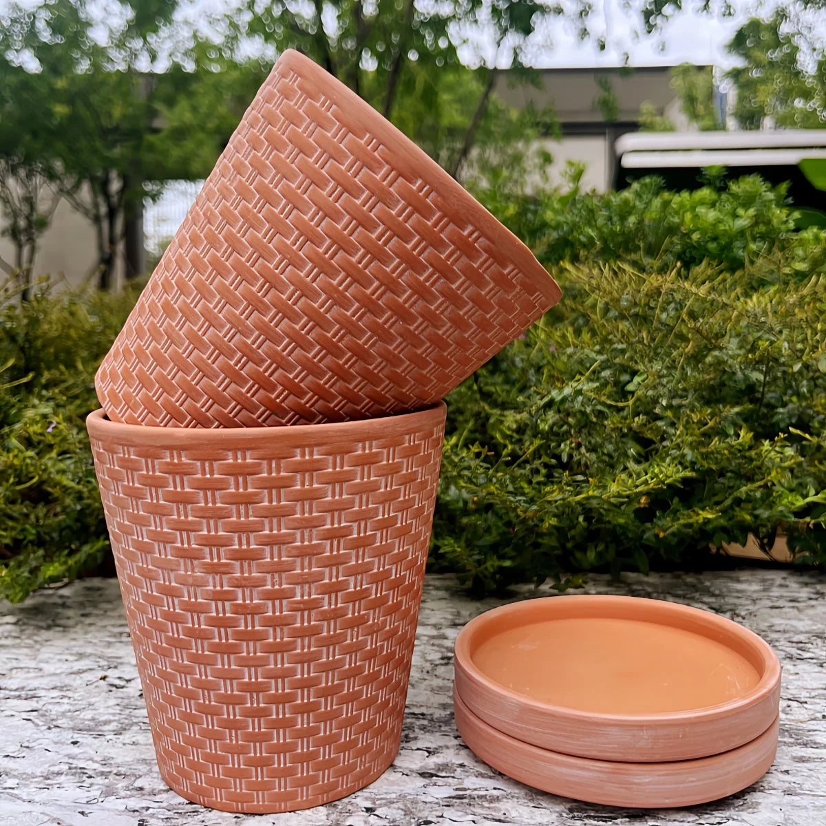Textured Clay Planter Set with Saucers – 5 Inch Drainage Pots for Succulents, Herbs & Small Plants, Indoor Outdoor Use, 2-Pack | Thomler