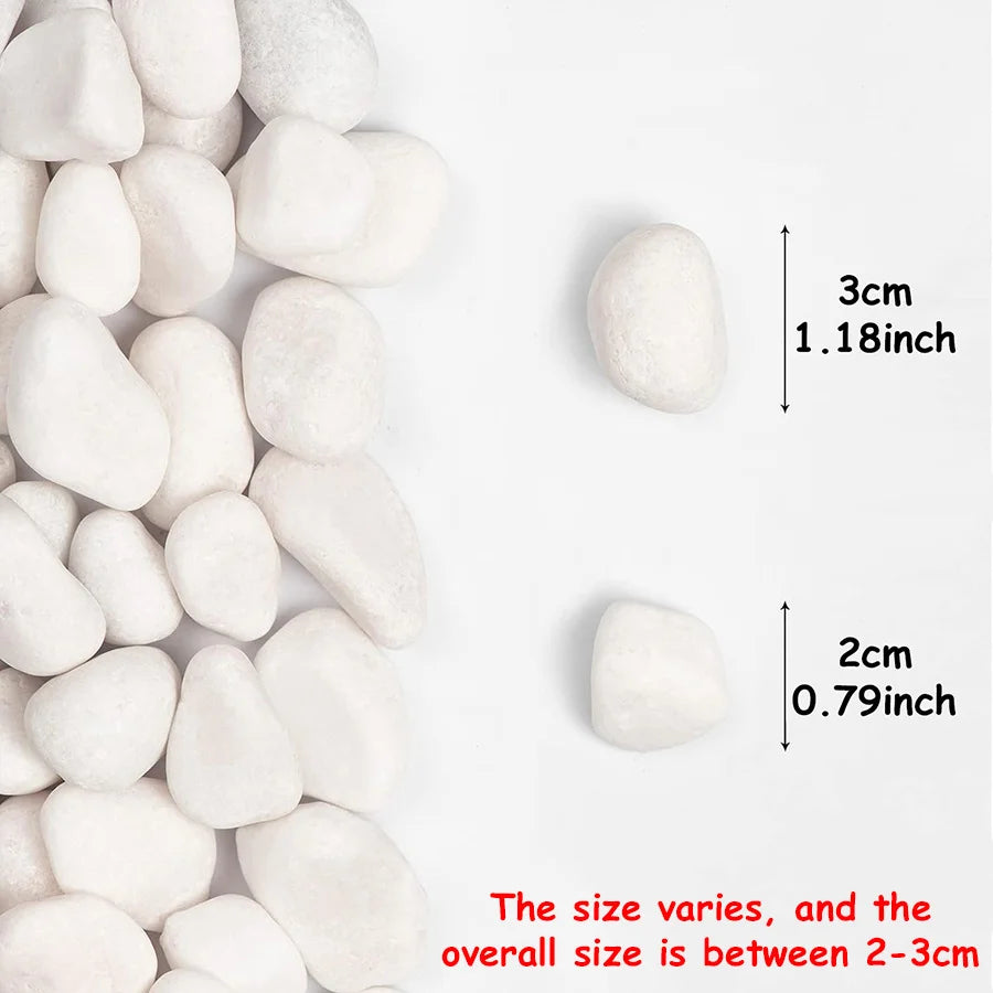 Smooth Natural River Rocks for Indoor & Outdoor Plant Displays, Fish Tanks, Yard Design – 14 oz Bag of Polished Light-Colored Pebbles | Thomler