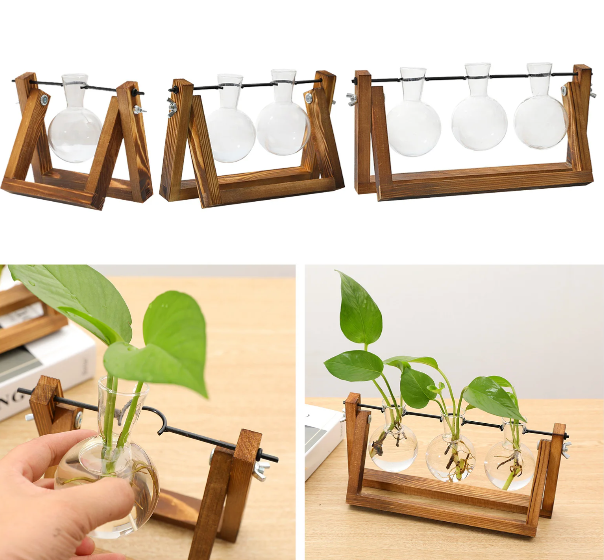 Plant Propagating Stand Natural Wood 11 in Indoor Gardening Glass Display Vintage Style | Thomler