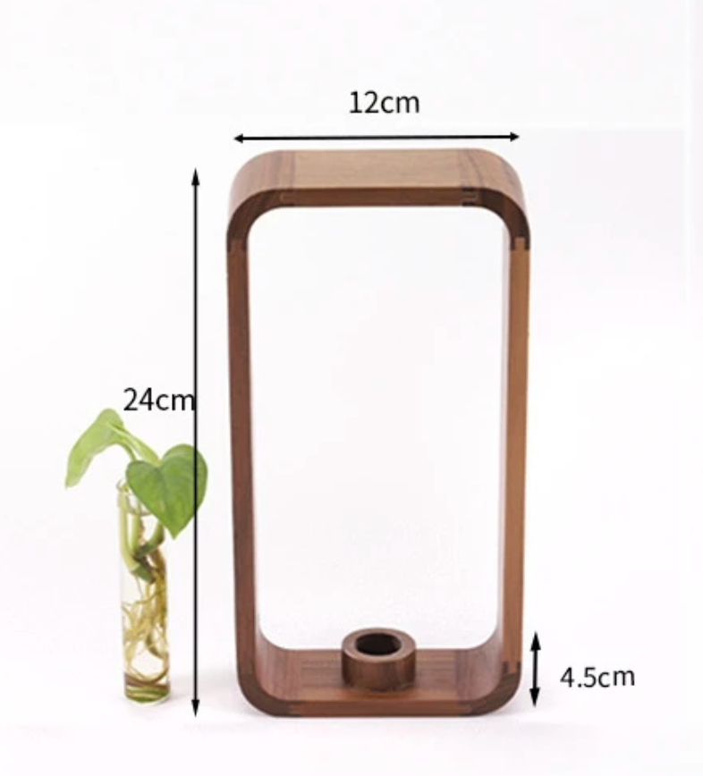 Plant Propagator Glass and Wood 10 in Indoor Gardening Medium Large Hydroponic Vase | Thomler