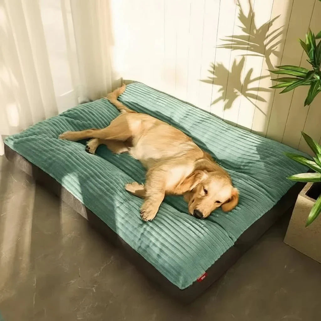 Dog Cushion Plush Orthopaedic Foam Soft Indoor Pet Bed Warm Sleeping Mat For Puppies Senior Dogs | Thomler
