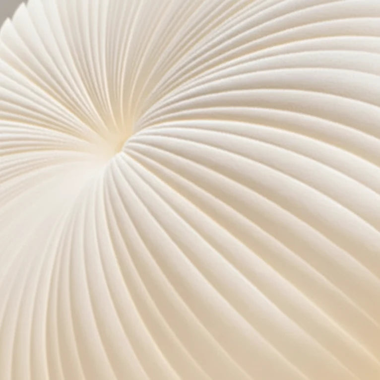 Radial Pleated Flush Mount LED Ceiling Light – Modern Sculptural Fixture for Bedroom & Entryway | Thomler