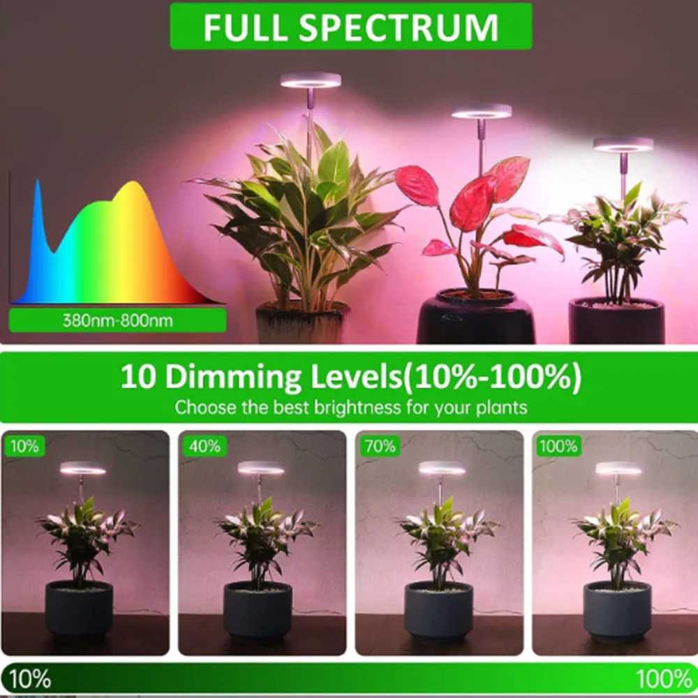 Adjustable Full-Spectrum Indoor Plant Grow Light with USB Power Stand | Thomler