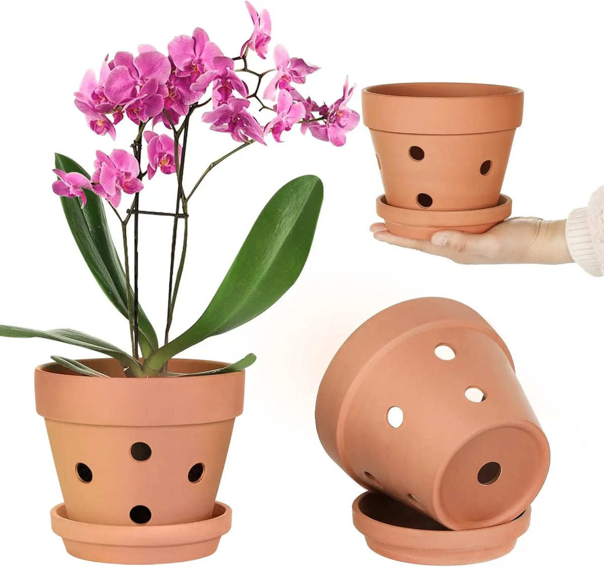 Clay Orchid Planters with Drainage Holes and Saucers – 6-Pack 4 Inch Breathable Ceramic Pots for Repotting Indoor and Outdoor Plants | Thomler