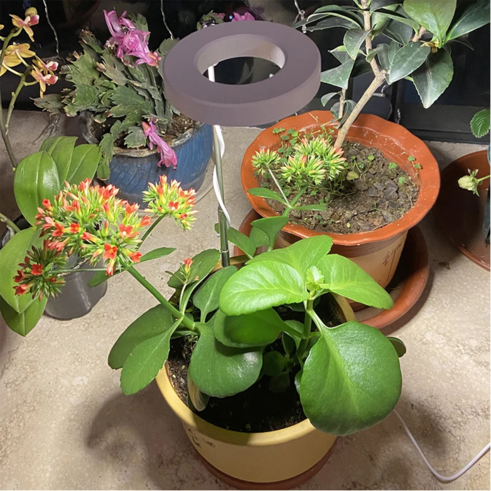 Adjustable Full-Spectrum Indoor Plant Grow Light with USB Power Stand | Thomler