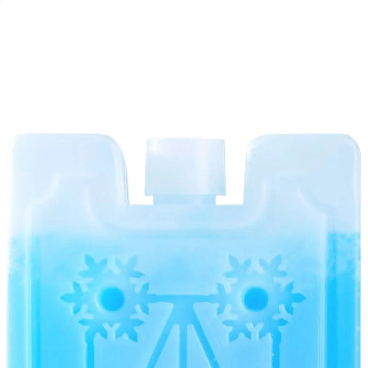Reusable Ice Pack for Coolers and Outdoor Trips – Keeps Food & Drinks Cold Longer | Thomler