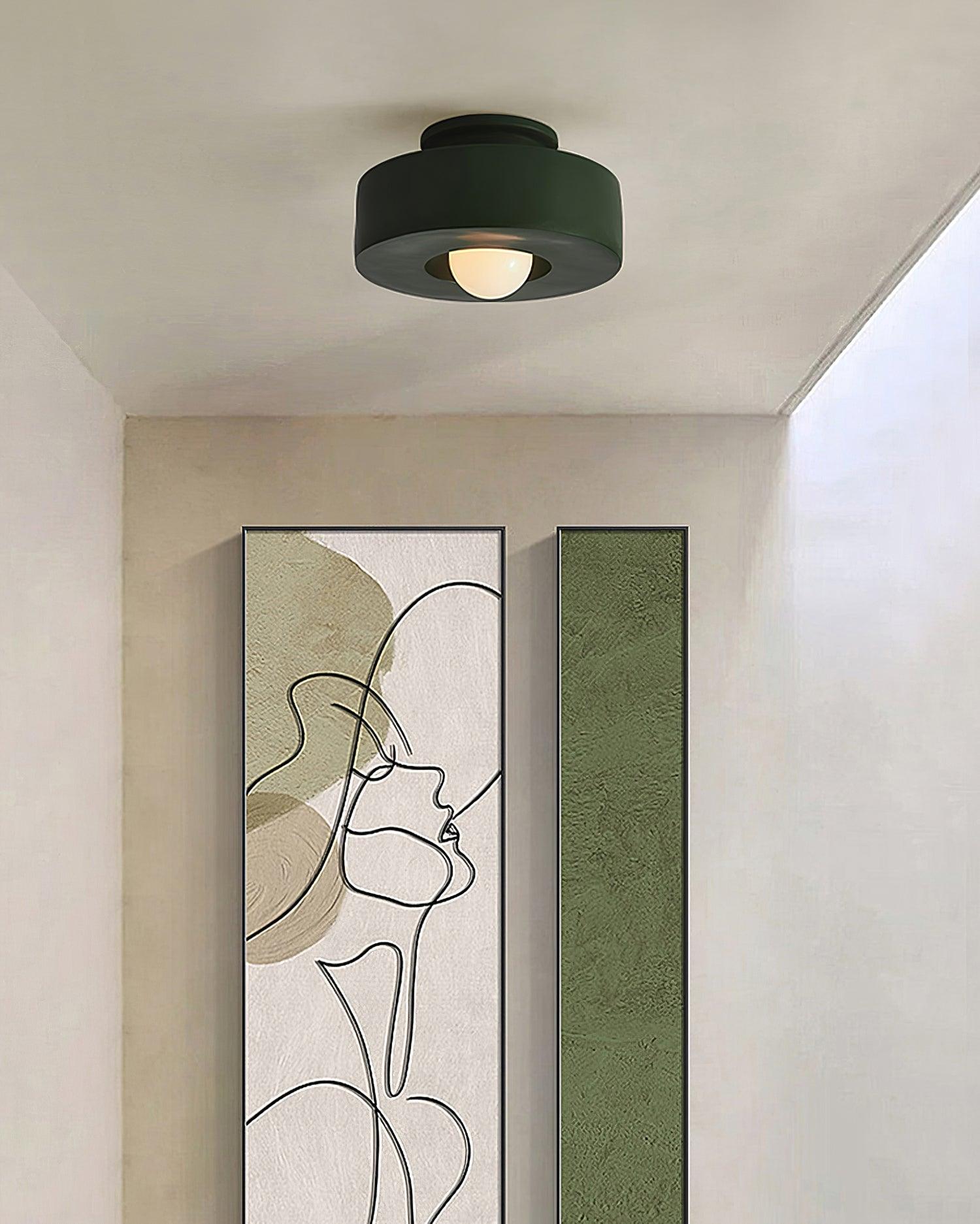 Resin Ceiling Light 11.8 in Red Green Black Indoor LED E26 E27 Modern Lighting Fixture | Thomler