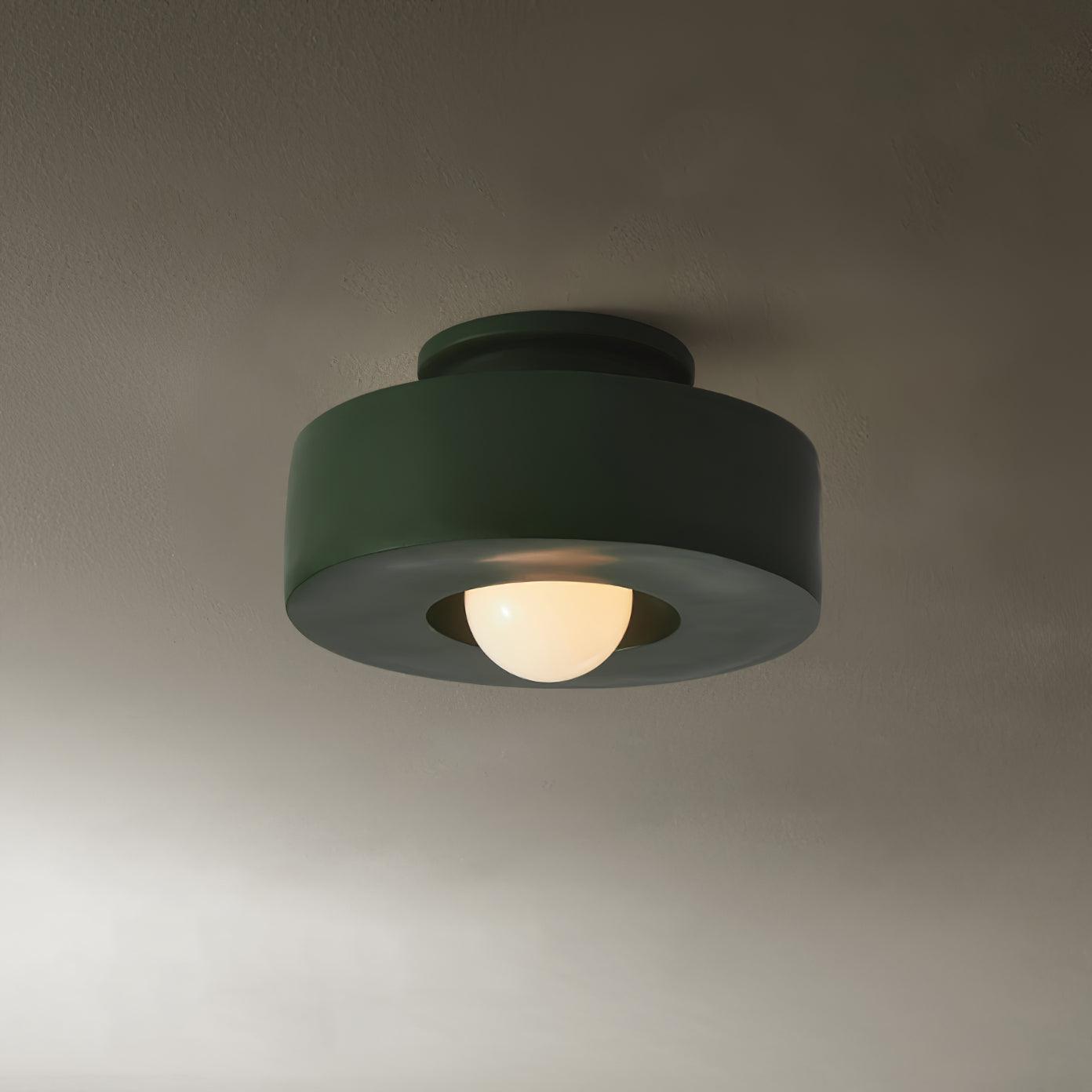 Resin Ceiling Light 11.8 in Red Green Black Indoor LED E26 E27 Modern Lighting Fixture | Thomler