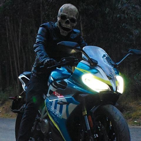 Lifelike Skull Mask – Terrifying Full-Head Halloween Costume Accessory for Adults | Thomler