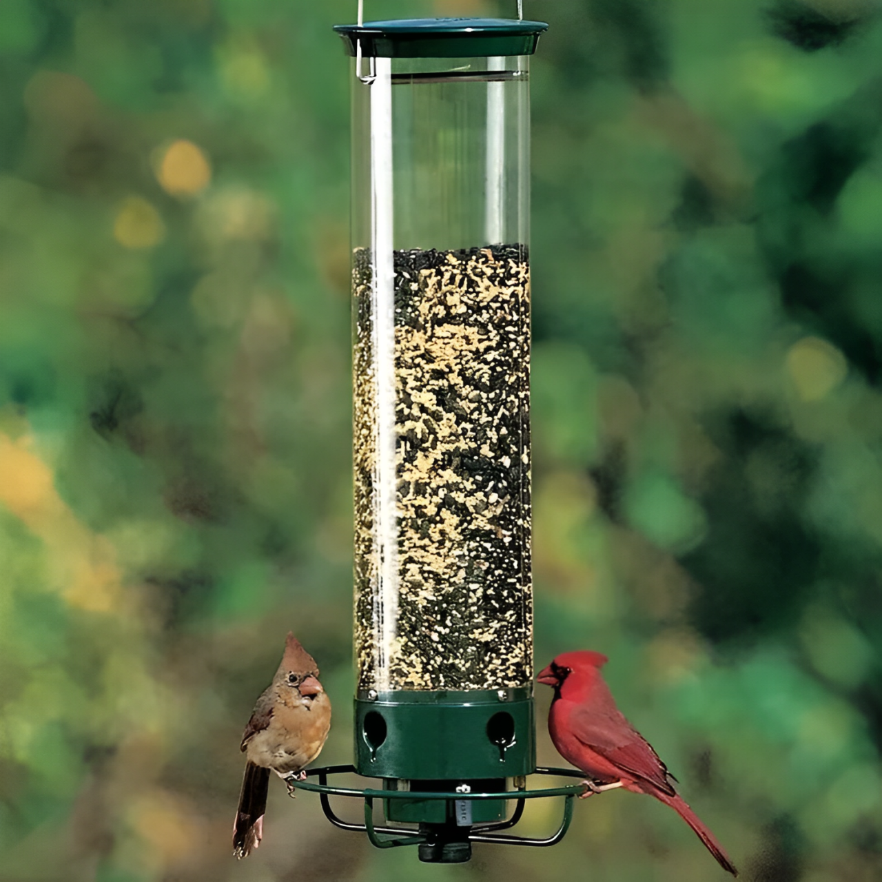 Outdoor Hanging Bird Feeder with Weight-Activated Critter Protection for Backyard Songbirds | Multi-Port Metal Seed Dispenser for Cardinals | Thomler