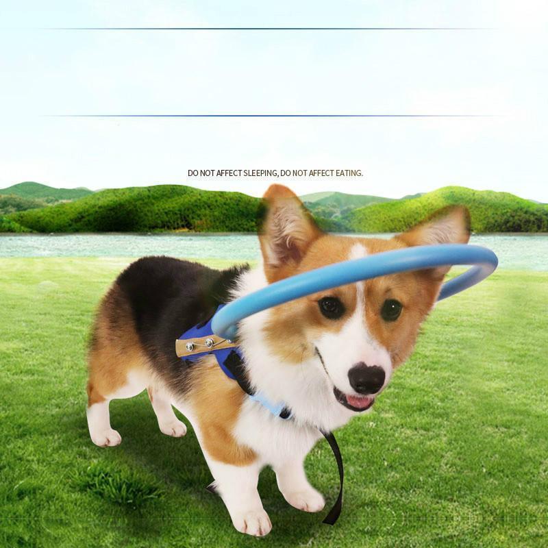 Protective Halo Harness for Blind Dogs – Soft Collision Buffer for Safe Indoor & Outdoor Navigation | Thomler