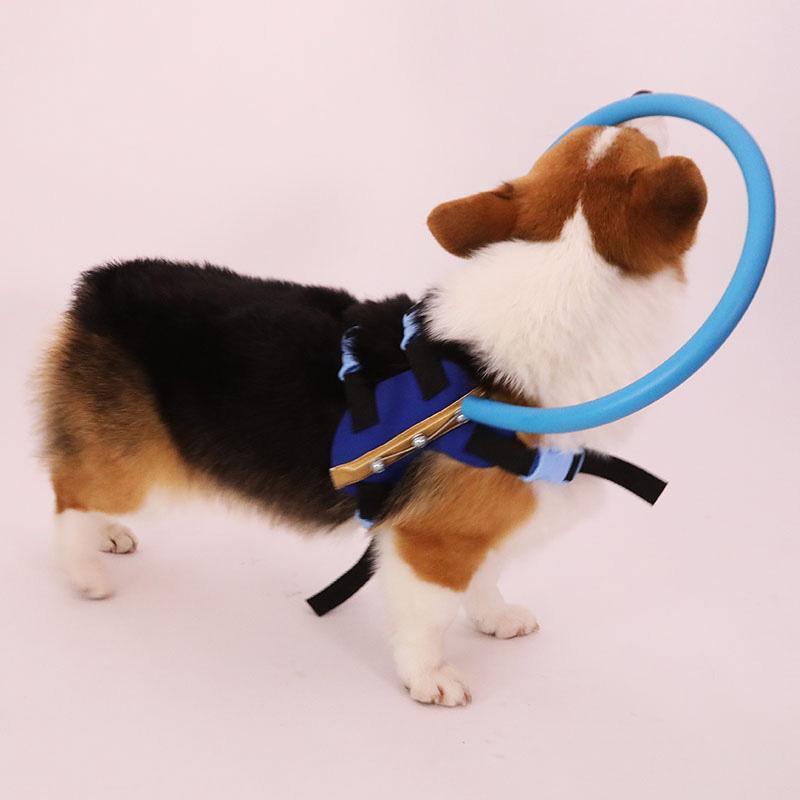 Protective Halo Harness for Blind Dogs – Soft Collision Buffer for Safe Indoor & Outdoor Navigation | Thomler