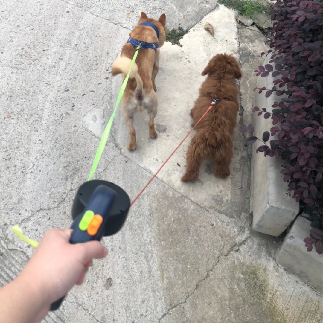 Dual Retractable Dog Leash with LED Flashlight & Waste Bag Holder for Two Dogs Up to 26 lb Each | Thomler