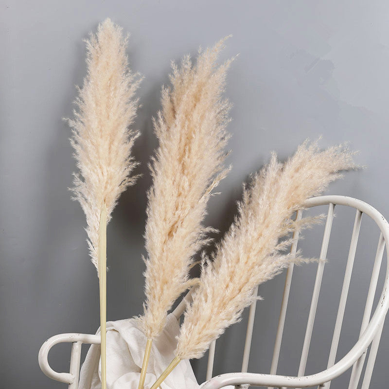 Decorative Dried Grass Plumes 15.7–29.5 in Natural Home Wedding Vase Arrangement | Thomler