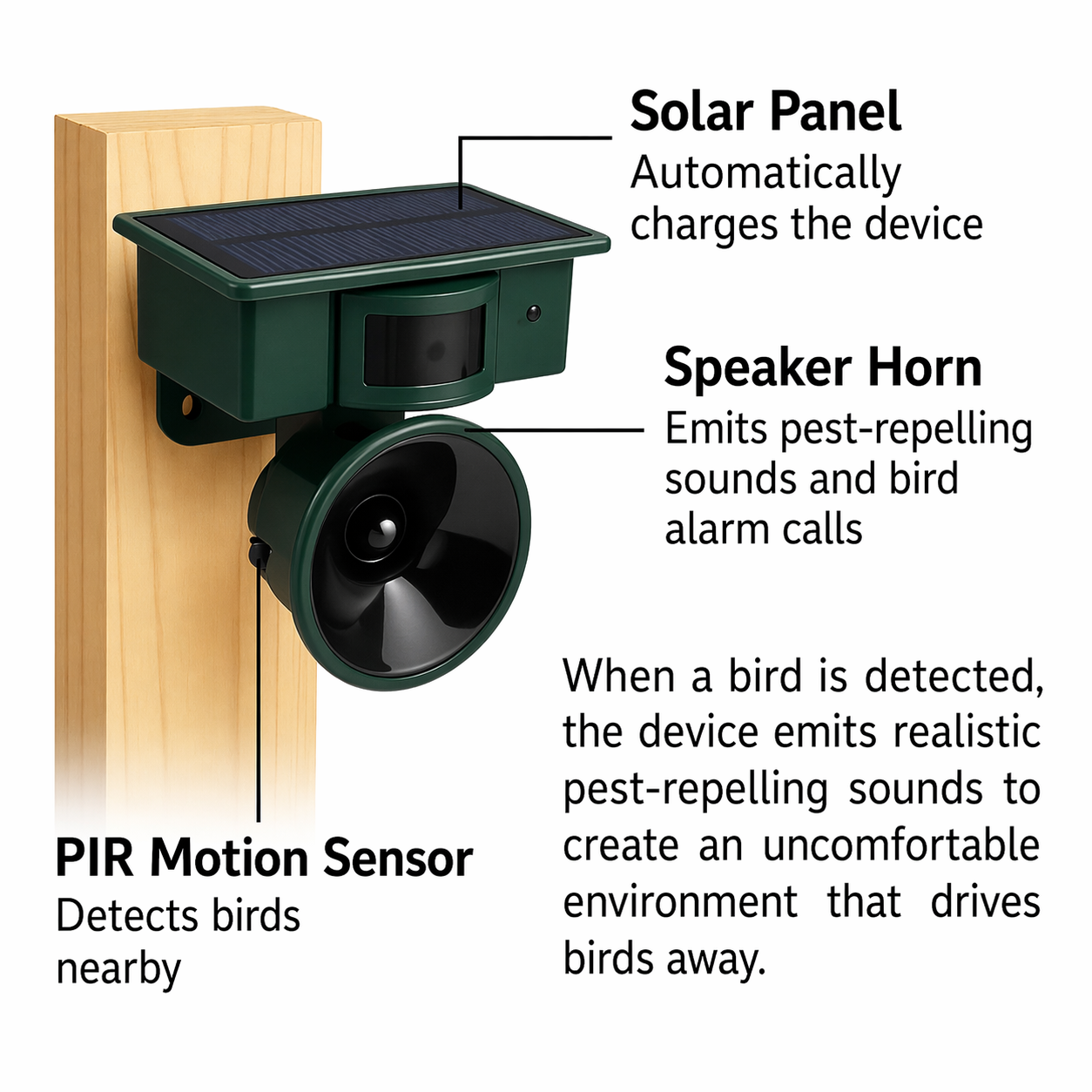 Solar-Powered Bird Deterrent with Motion Sensor and Predator Calls for Yard, Patio, and Roof Protection | Thomler
