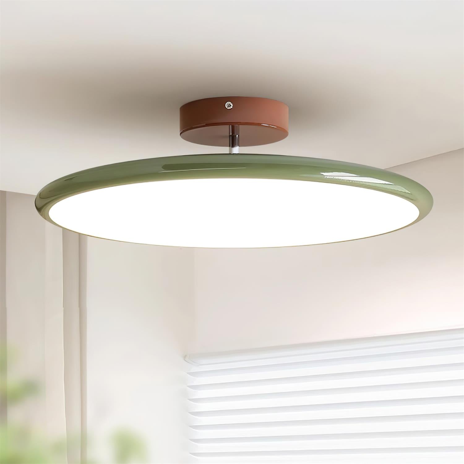 Ceiling Lamp Acrylic 11.8 in Flat Disc 32W Warm White Modern Living Room Dining Area Lighting | Thomler