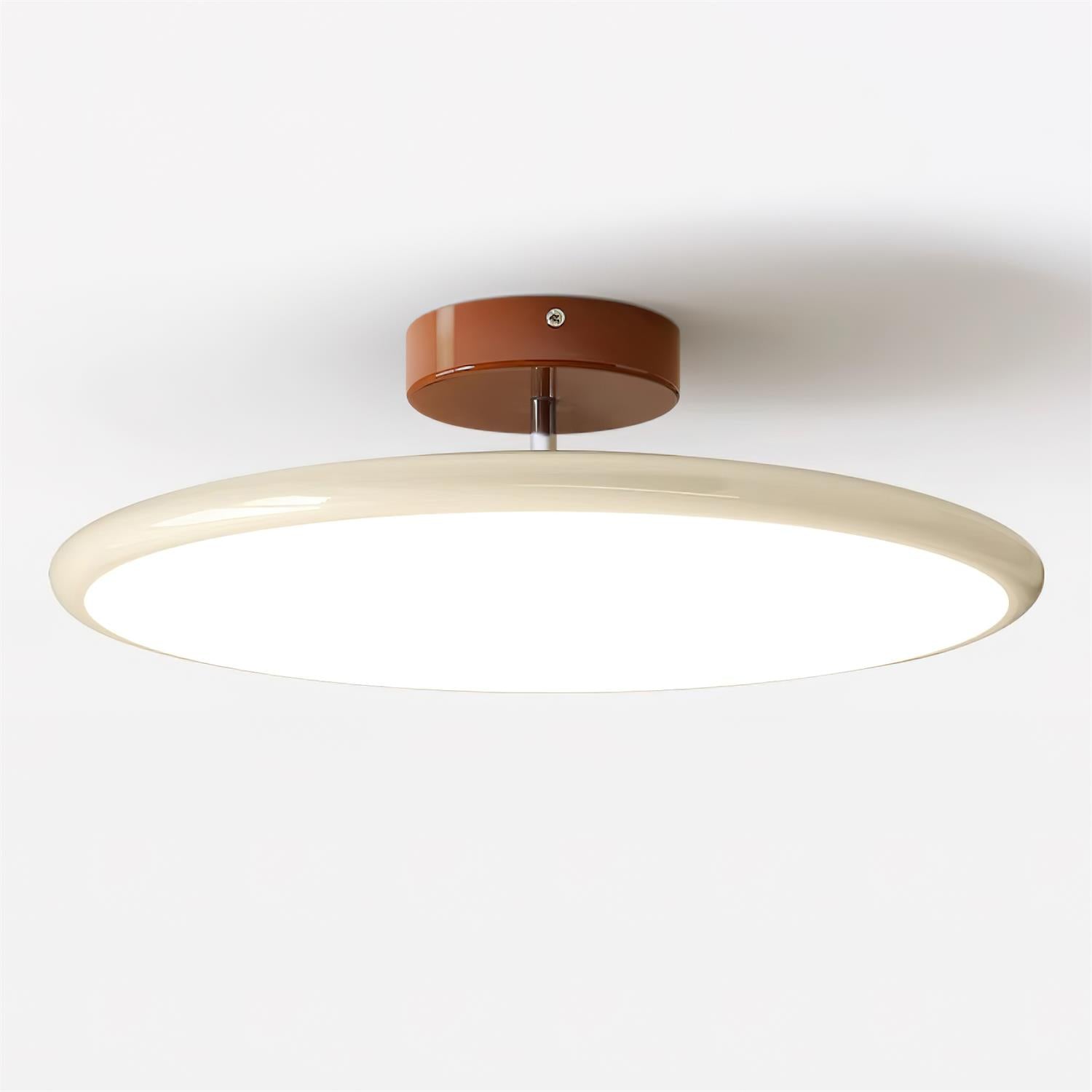 Ceiling Lamp Acrylic 11.8 in Flat Disc 32W Warm White Modern Living Room Dining Area Lighting | Thomler