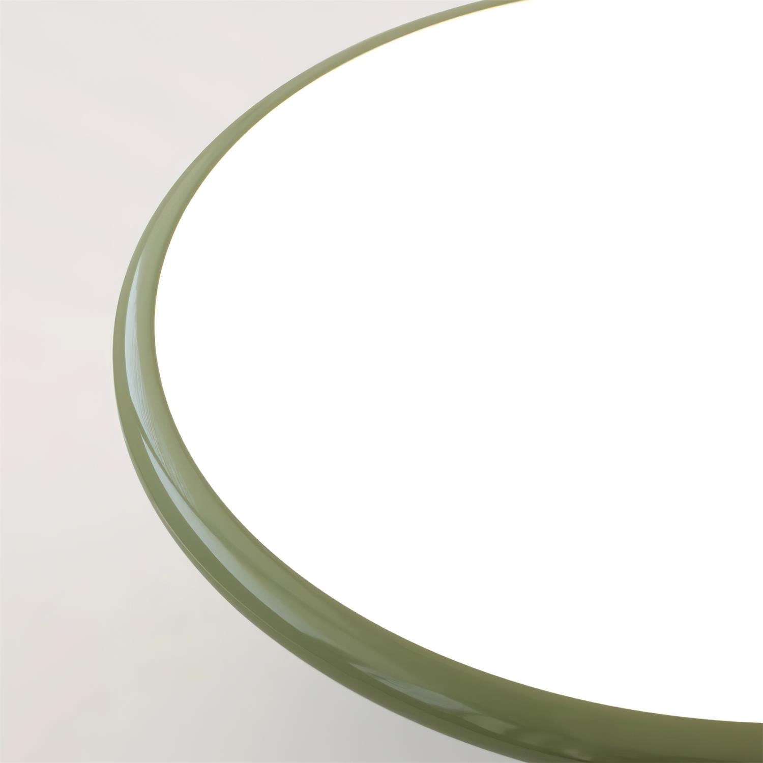 Ceiling Lamp Acrylic 11.8 in Flat Disc 32W Warm White Modern Living Room Dining Area Lighting | Thomler