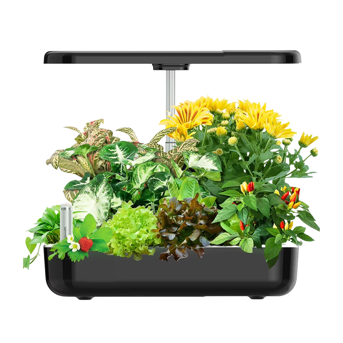 12-Pod Hydroponic Growing System with LED Grow Light for Kitchen Counter Herbs & Vegetables | Thomler