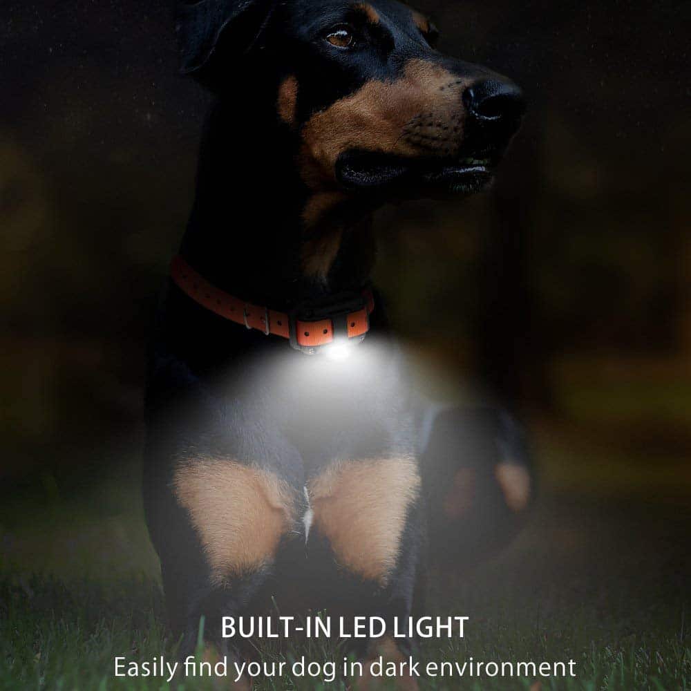 Remote Dog Training System with Adjustable Vibration & Tone – 2600 ft Wireless Range for Obedience & Behavior Correction | Thomler