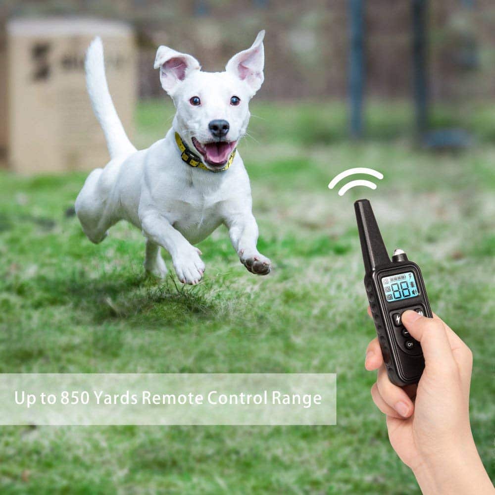 Remote Dog Training System with Adjustable Vibration & Tone – 2600 ft Wireless Range for Obedience & Behavior Correction | Thomler