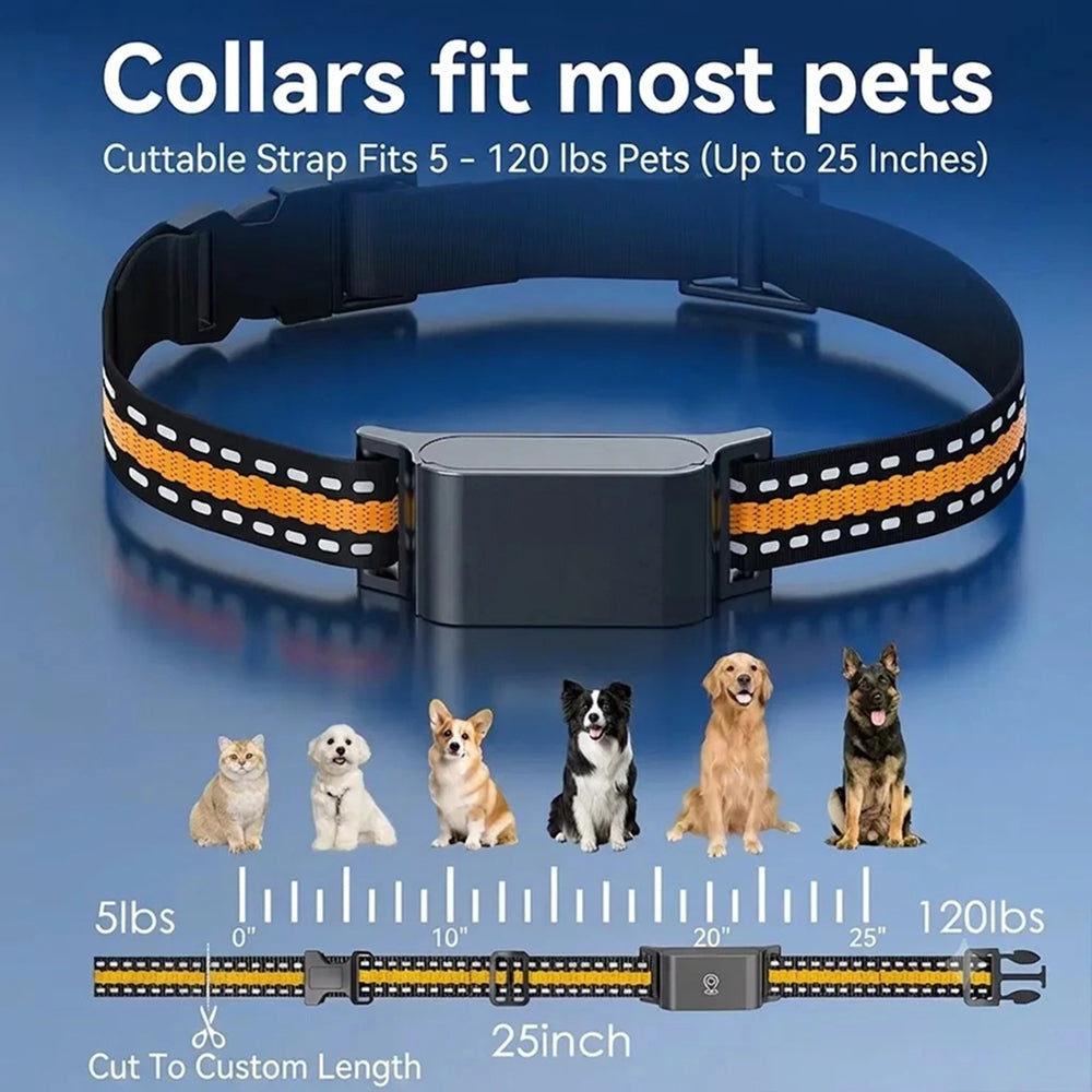 Collar-Mounted GPS Location Monitor for Cats with Geofence Alerts, Historical Route Logging & Multi-Technology Positioning for Indoor & | Thomler