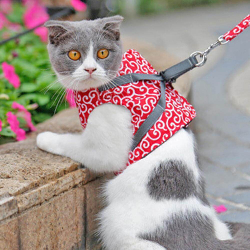 Cat Walking Harness & Leash Set | Breathable Mesh Vest Jacket for Outdoor Adventures | Adjustable No-Pull Design for Cats & Small Dogs | Thomler