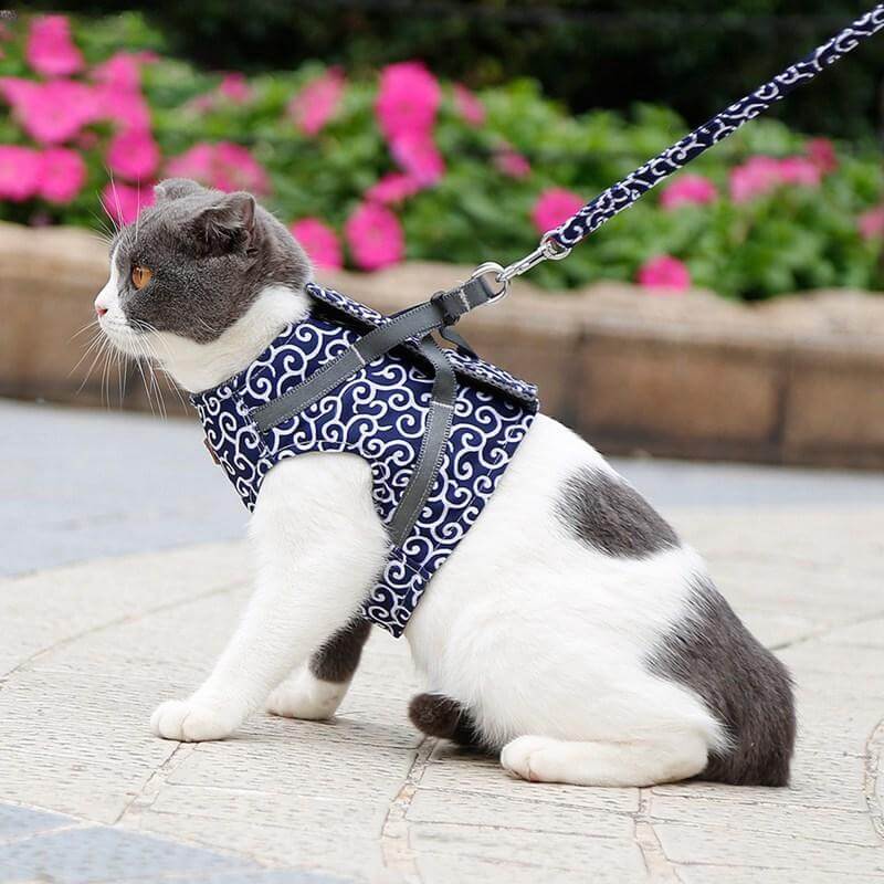 Cat Walking Harness & Leash Set | Breathable Mesh Vest Jacket for Outdoor Adventures | Adjustable No-Pull Design for Cats & Small Dogs | Thomler