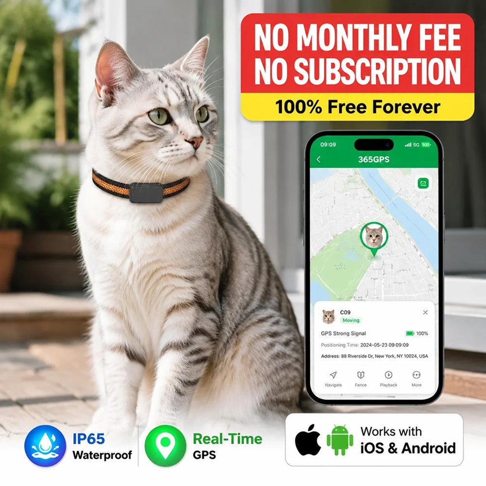 Collar-Mounted GPS Location Monitor for Cats with Geofence Alerts, Historical Route Logging & Multi-Technology Positioning for Indoor & | Thomler