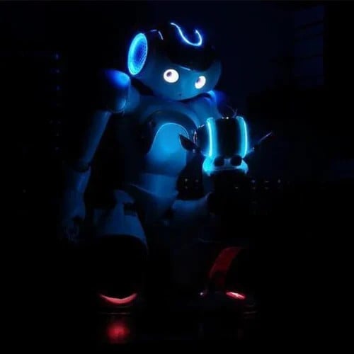 Interactive Gesture-Control Robot for Kids – Dancing, Musical Learning Toy with Voice & Programming | Educational STEM Playtime Companion | Thomler