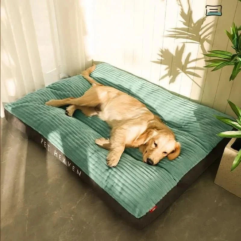 Orthopedic Dog Bed with Plush Cover - Memory Foam Support for Joint Relief & Comfort | Thomler