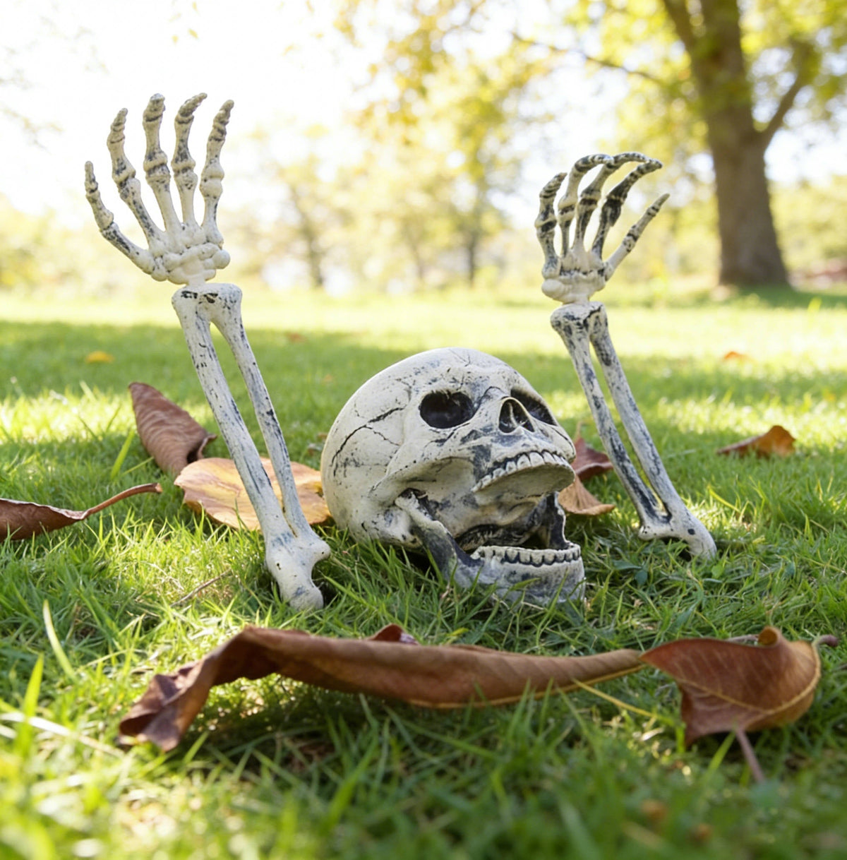 Ground-Emerging Skeleton Yard Stakes – Skull & Arms Halloween Lawn Decor for Outdoor Garden & Graveyard Scenes | Thomler