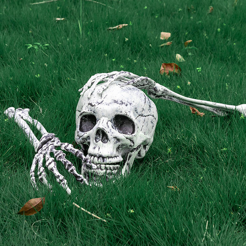 Ground-Emerging Skeleton Yard Stakes – Skull & Arms Halloween Lawn Decor for Outdoor Garden & Graveyard Scenes | Thomler