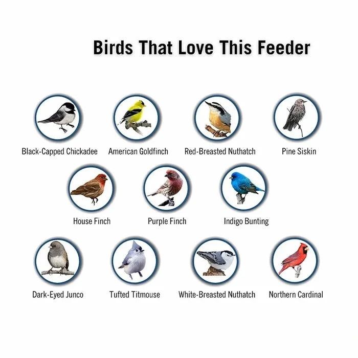 Weighted Rotating Perch Wild Bird Feeder with Anti-Rodent Spin Mechanism for Cardinals, Finches, Chickadees | Hanging Outdoor Seed Station | Thomler
