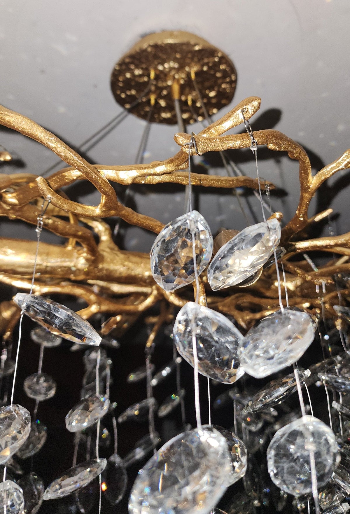 Crystal Branch Chandelier with LED Lights for Dining Room & Living Space | Modern Hanging Fixture | Adjustable Chain | Round or Rectangular | Thomler